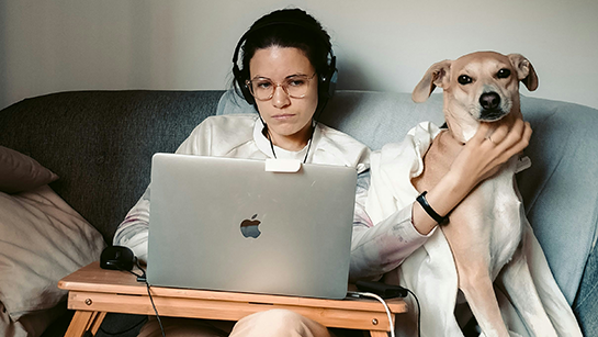 Frau sitzt mit Hund auf Sofa und macht Homeoffice. Inhaltsbild Gesundheitstipp trockene Augen