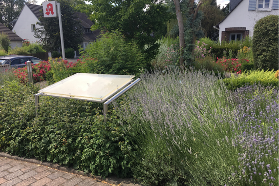 03roemer_meineapotheke