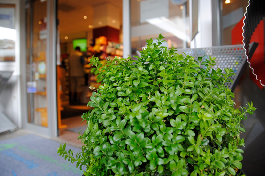 27437_meineapotheke_03