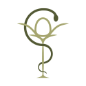 63955 Logo Flora Apotheke, Haste